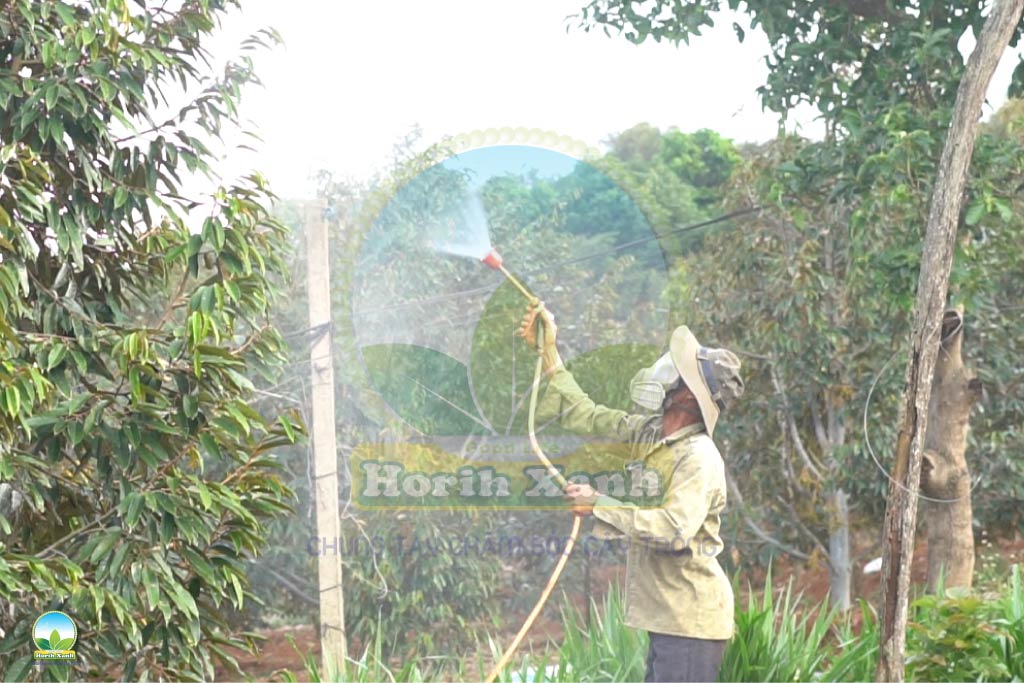 phun tuoi GA3